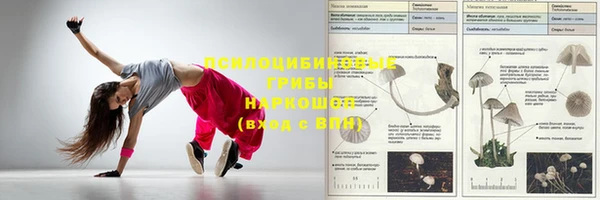 mdpv Алексин