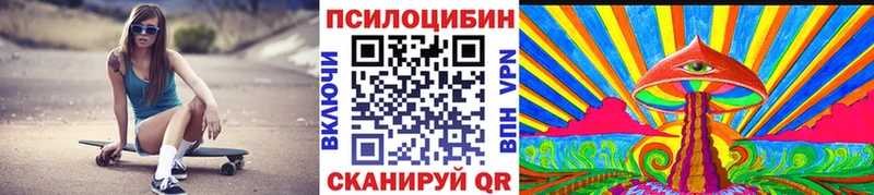 маркетплейс Telegram  KRAKEN сайт  Гаджиево  Псилоцибиновые грибы мицелий 